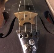 upright double bass, string bass repair